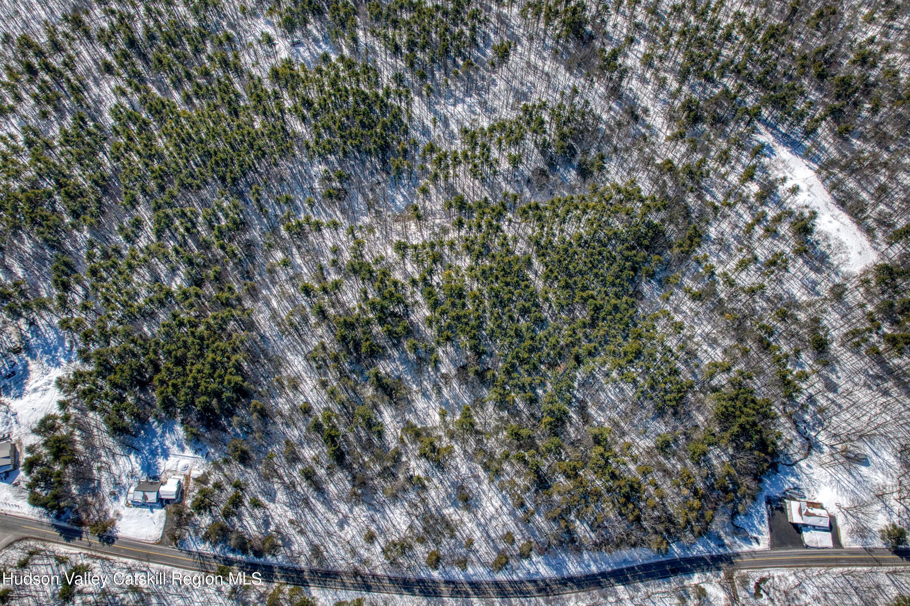 0 County Route 26 Climax, NY 12042 - Photo 8 of 12 rt 26 aerial 8