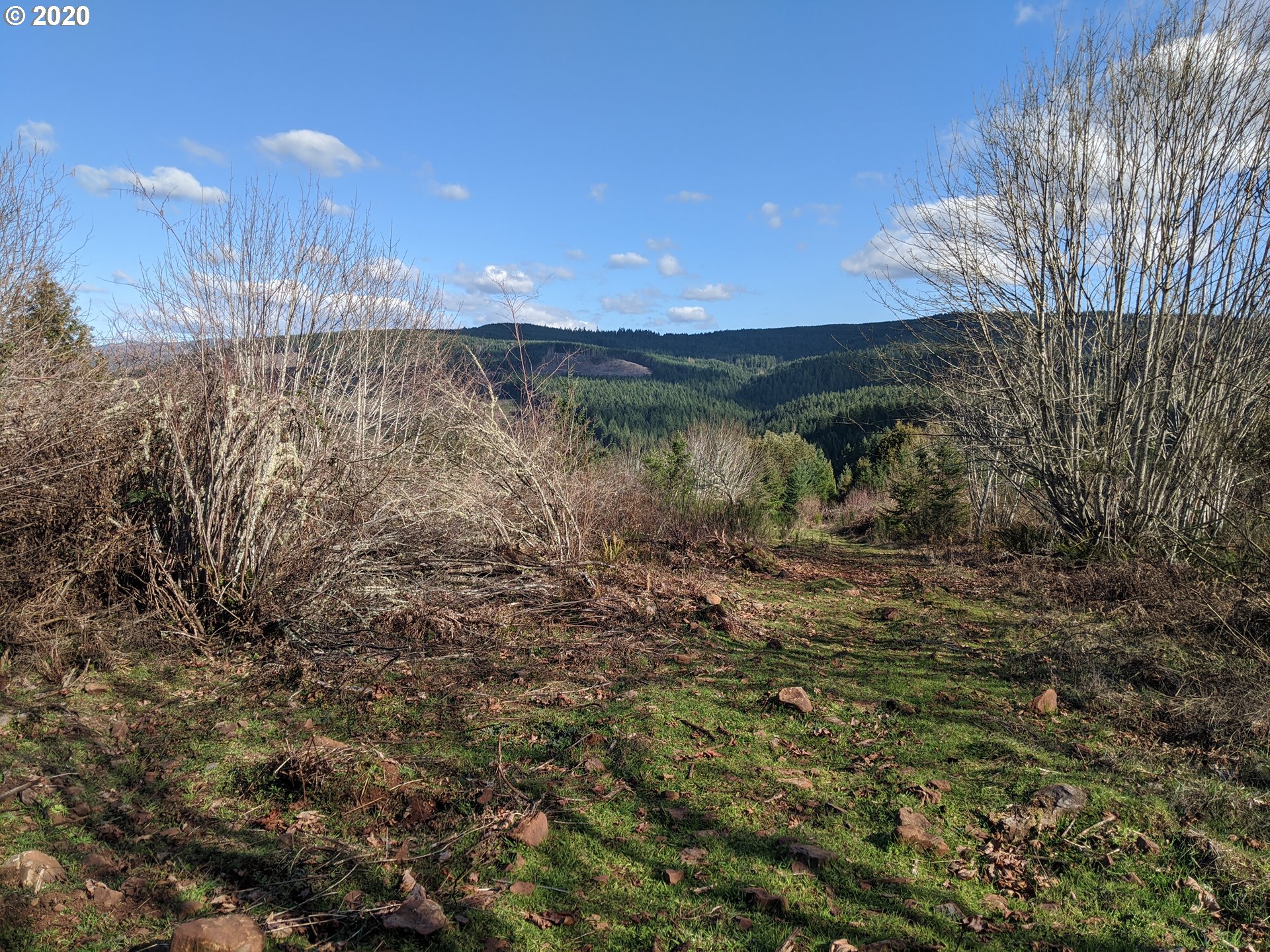 Cedar Flat Road Springfield, OR 97478 - Photo 2 of 11