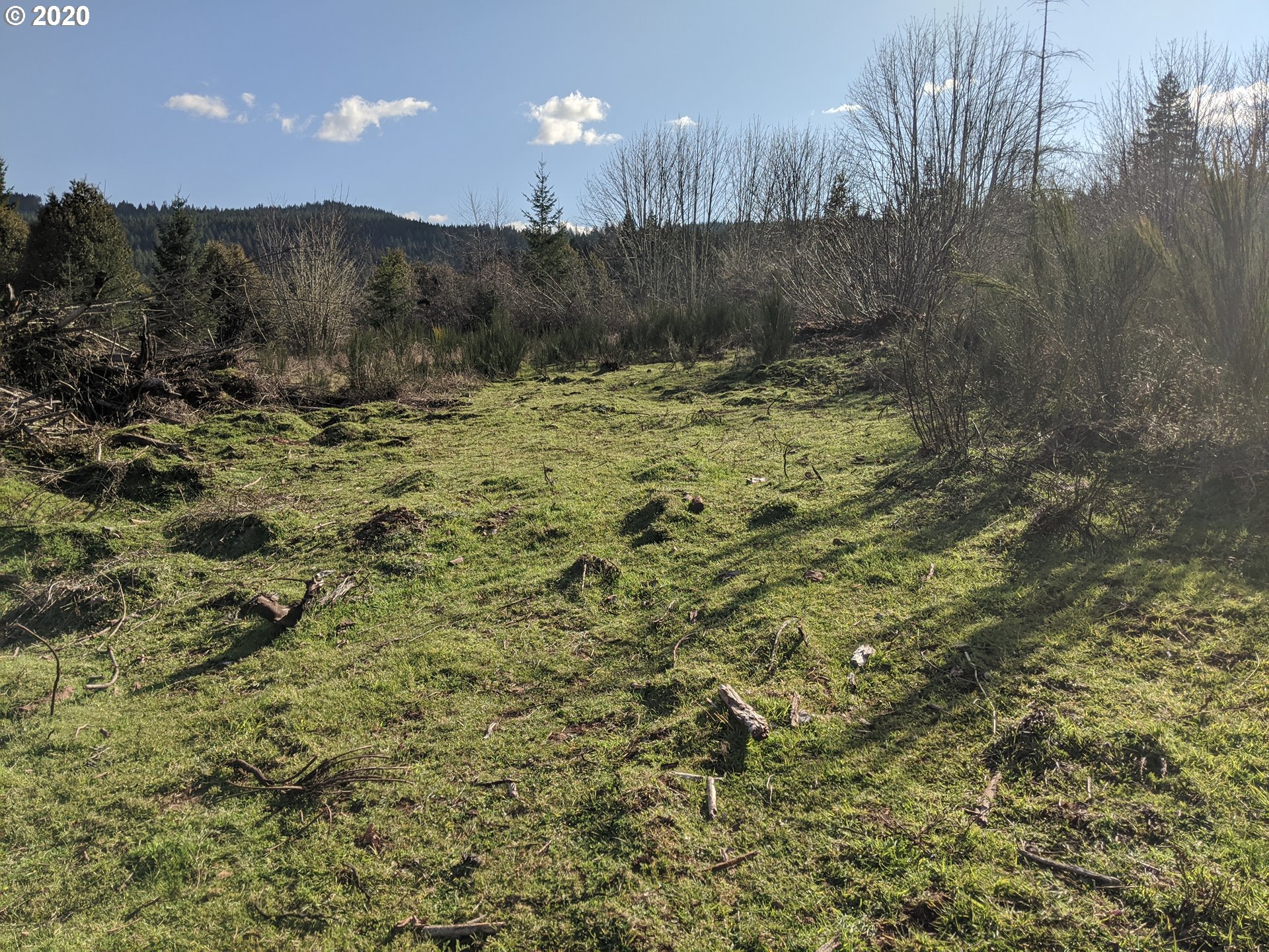 Cedar Flat Road Springfield, OR 97478 - Photo 3 of 11