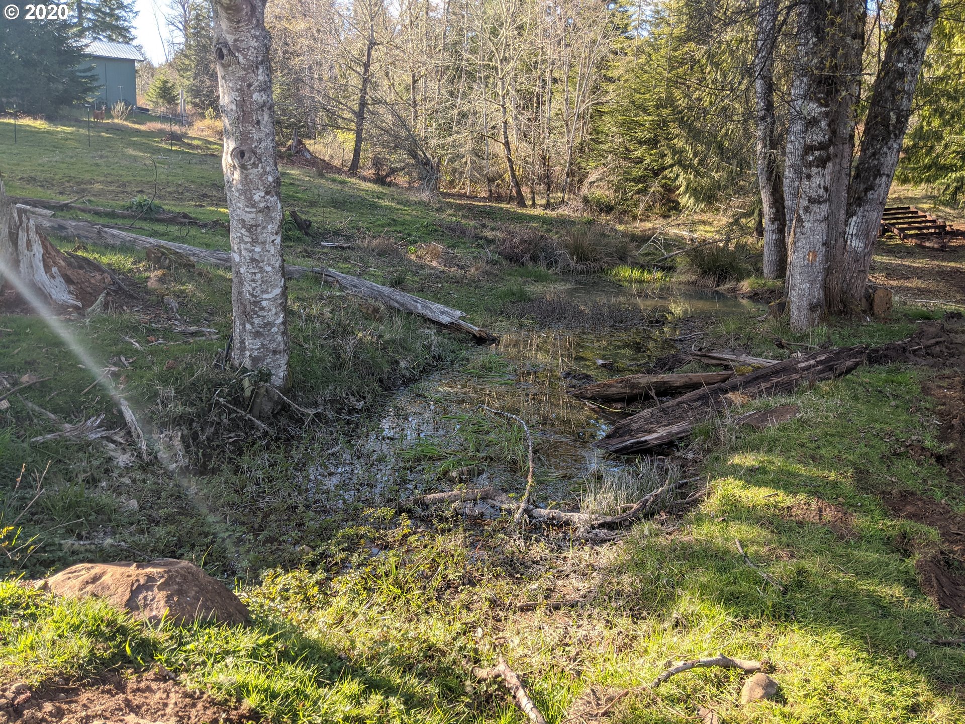 Cedar Flat Road Springfield, OR 97478 - Photo 6 of 11