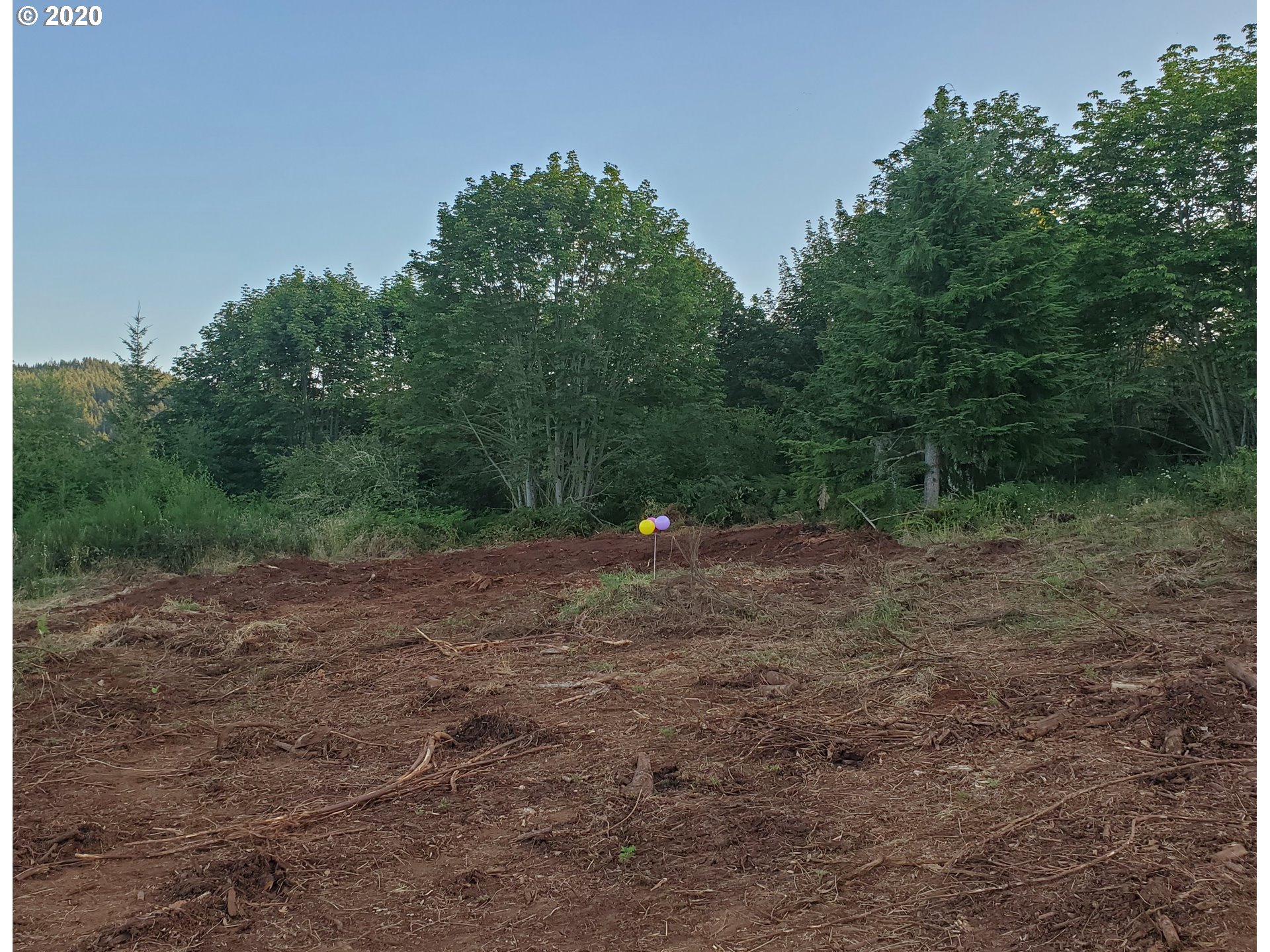 Cedar Flat Road Springfield, OR 97478 - Photo 8 of 11