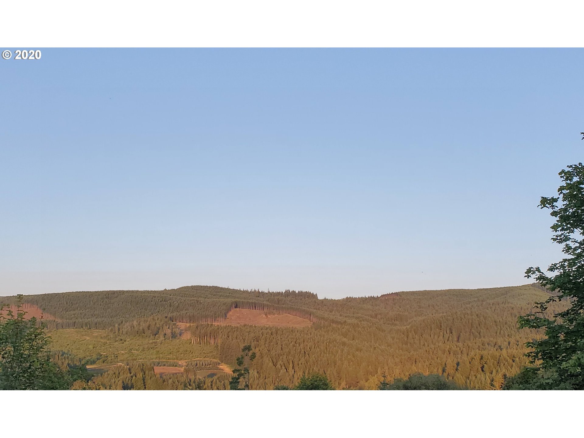 Cedar Flat Road Springfield, OR 97478 - Photo 9 of 11