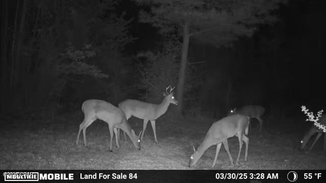 0 Mutual Road Cottondale, FL 32431 - Photo 9 of 38