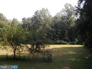 520 Rocksville Road Holland, PA 18966 - Photo 5 of 6