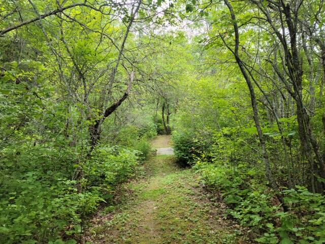 754 Blacks Woods Road Cherryfield, ME 04622 - Photo 50 of 60 thumb_20210819_141710_1024 (1)