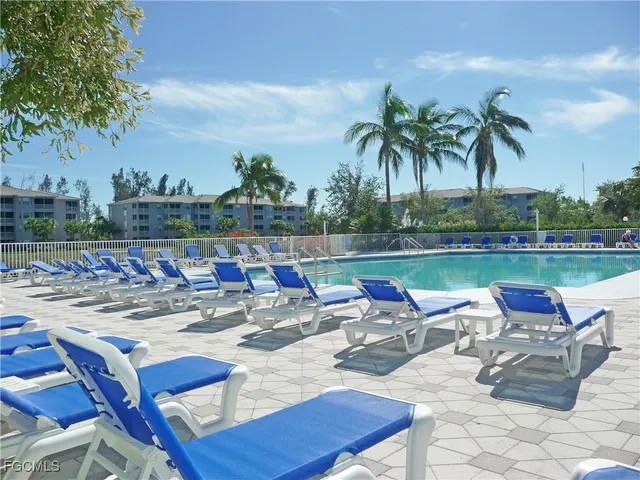 a park view with palm trees
