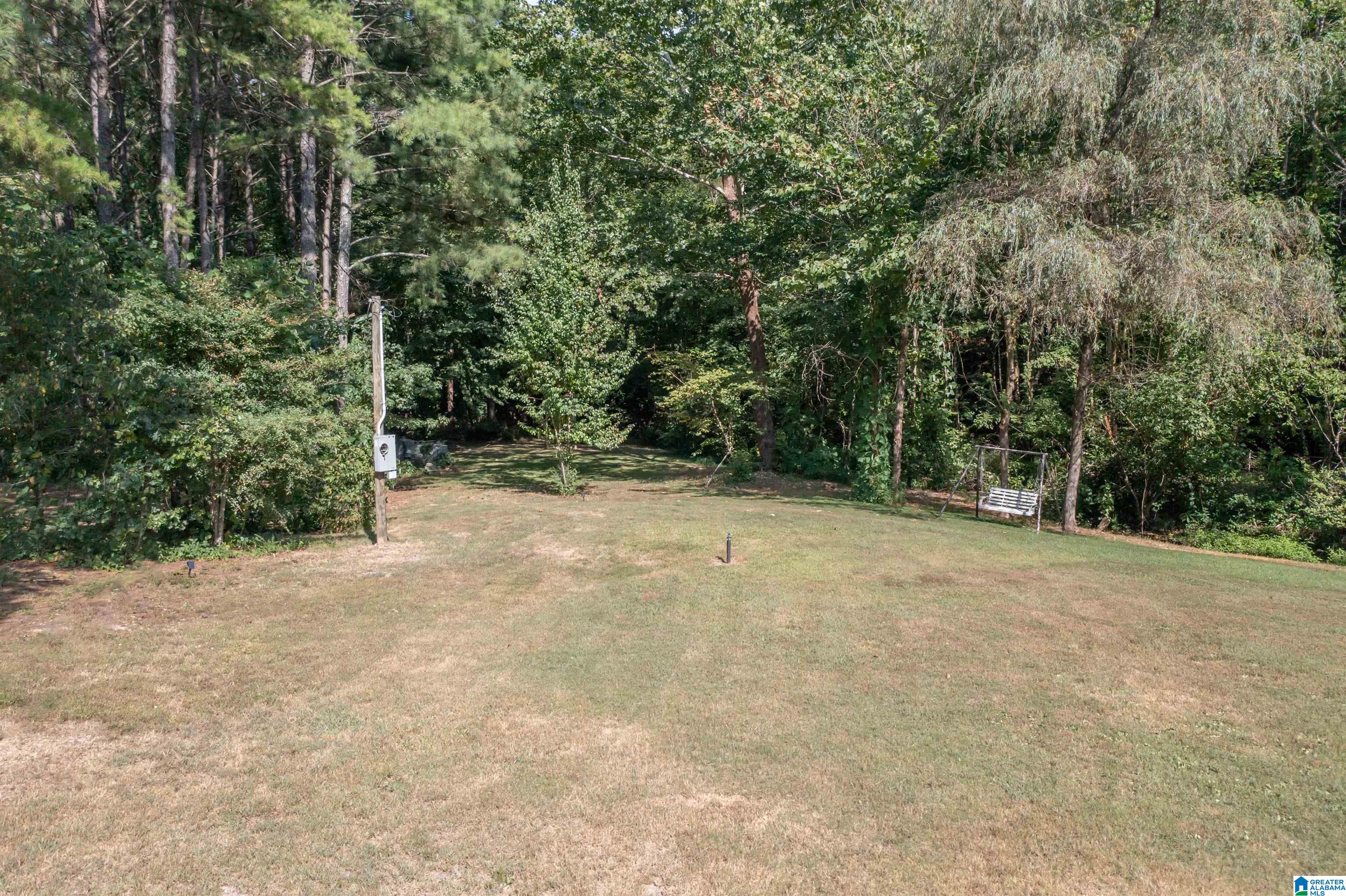 1961 Dripping Rock Road Piedmont, AL 36272 - Photo 41 of 47