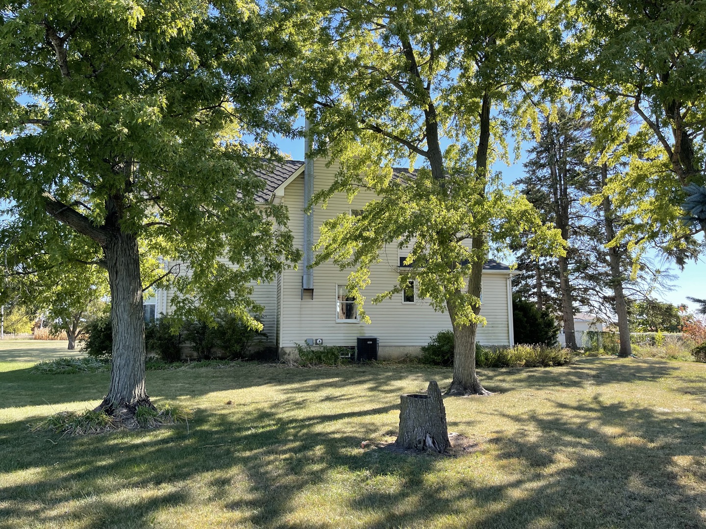 16580 West 5000S Road Buckingham, IL 60917 - Photo 32 of 35 a view of a yard with plants and a large tree