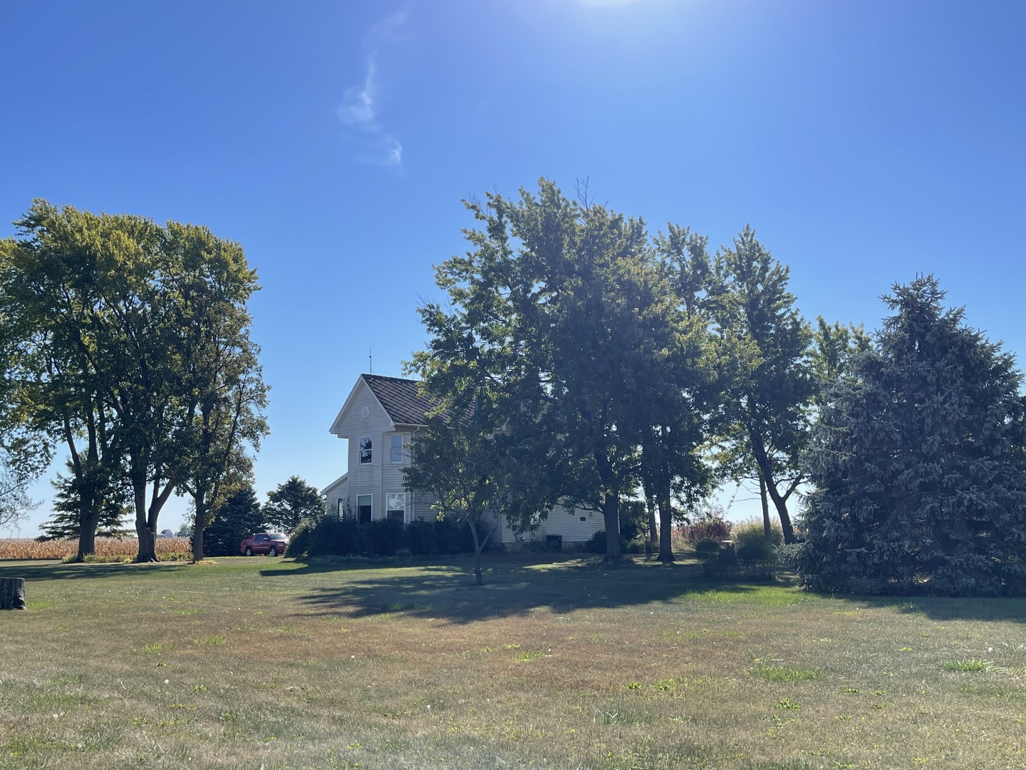 16580 West 5000S Road Buckingham, IL 60917 - Photo 5 of 35 a view of a yard with a tree