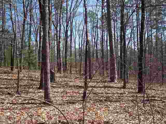 221 Raven Cliff Road Cleveland, SC 29635 - Photo 1 of 10