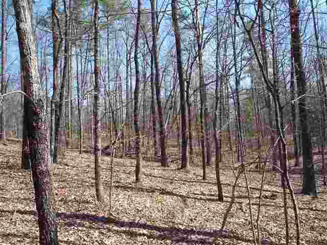 221 Raven Cliff Road Cleveland, SC 29635 - Photo 2 of 10