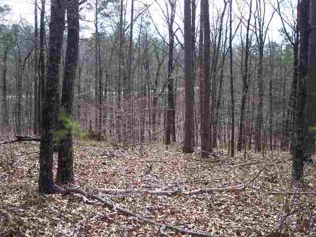 221 Raven Cliff Road Cleveland, SC 29635 - Photo 3 of 10