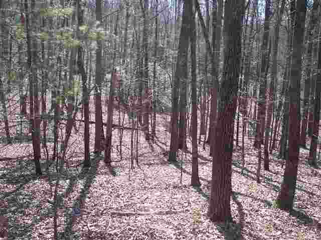 221 Raven Cliff Road Cleveland, SC 29635 - Photo 4 of 10