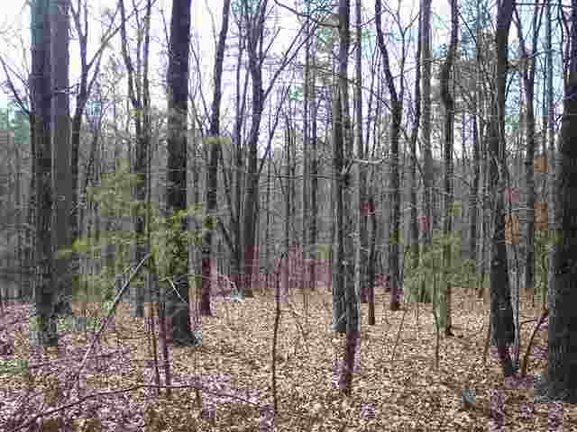 221 Raven Cliff Road Cleveland, SC 29635 - Photo 5 of 10