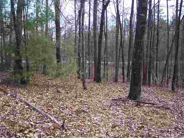 221 Raven Cliff Road Cleveland, SC 29635 - Photo 6 of 10