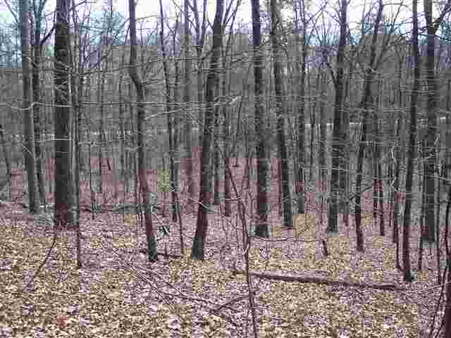 221 Raven Cliff Road Cleveland, SC 29635 - Photo 7 of 10