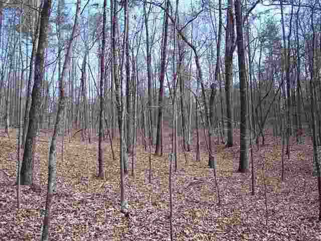 221 Raven Cliff Road Cleveland, SC 29635 - Photo 8 of 10