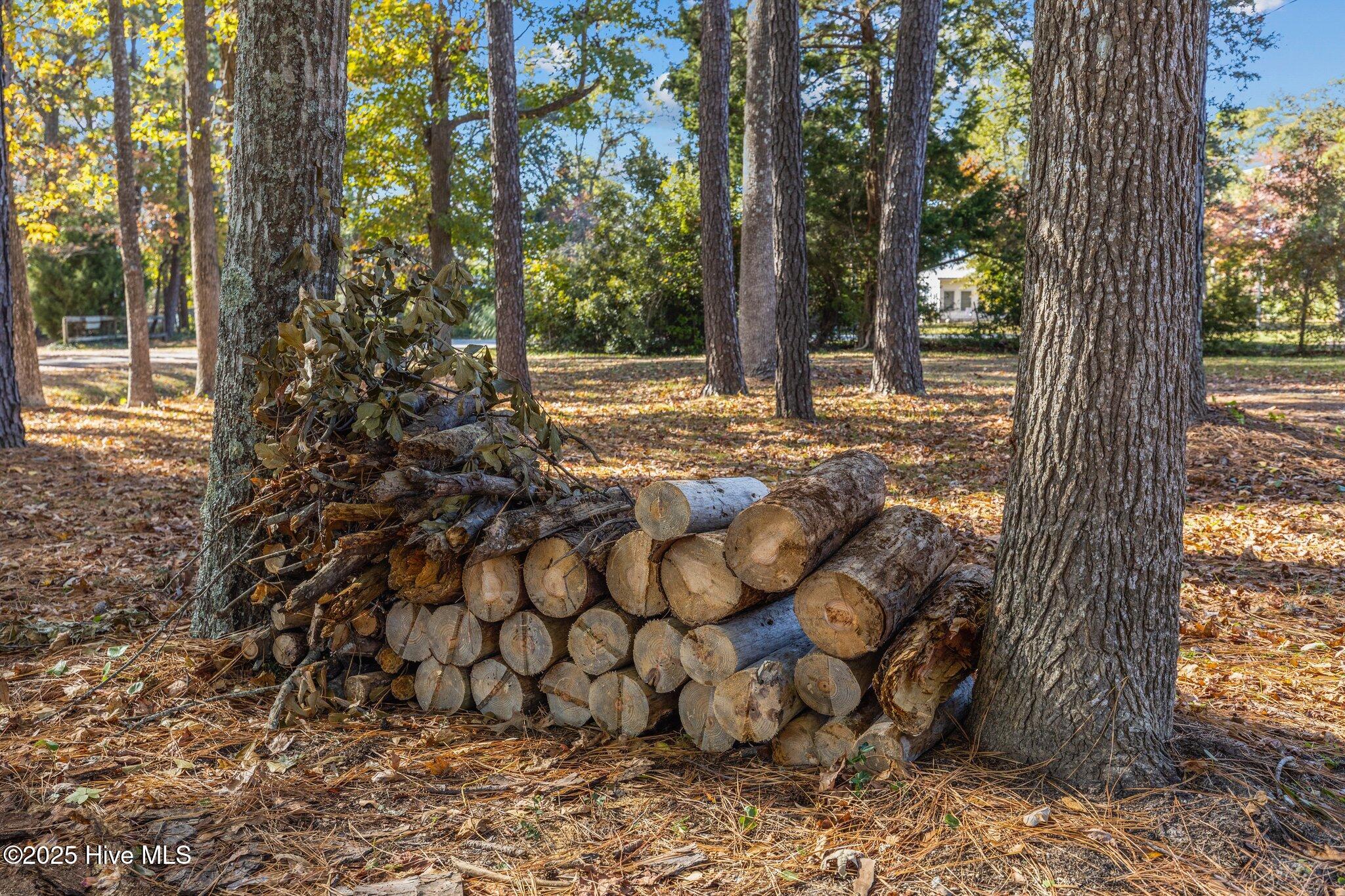 223 Pettiford Road Peletier, NC 28584 - Photo 28 of 34 34-web-or-mls-1S3A9912