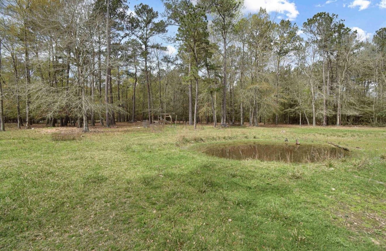 655 County Road 4525 Warren, TX 77664 - Photo 13 of 14