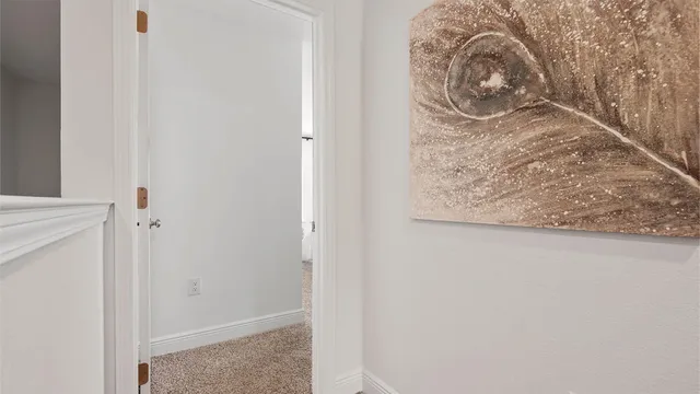 a view of walk in closet