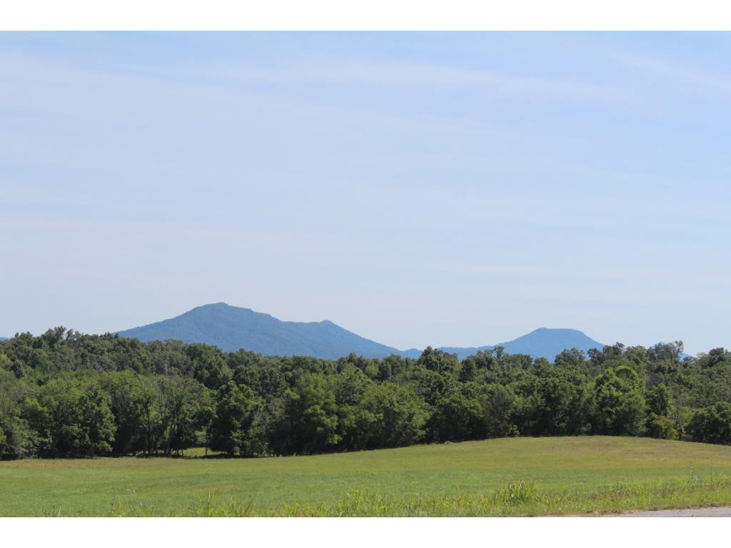 0 Kenneytown Road, Unit 1 Greeneville, TN 37745 - Photo 1 of 24 Photo 1