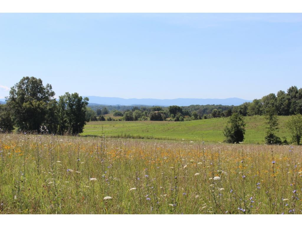 0 Kenneytown Road, Unit 1 Greeneville, TN 37745 - Photo 11 of 24 Photo 11