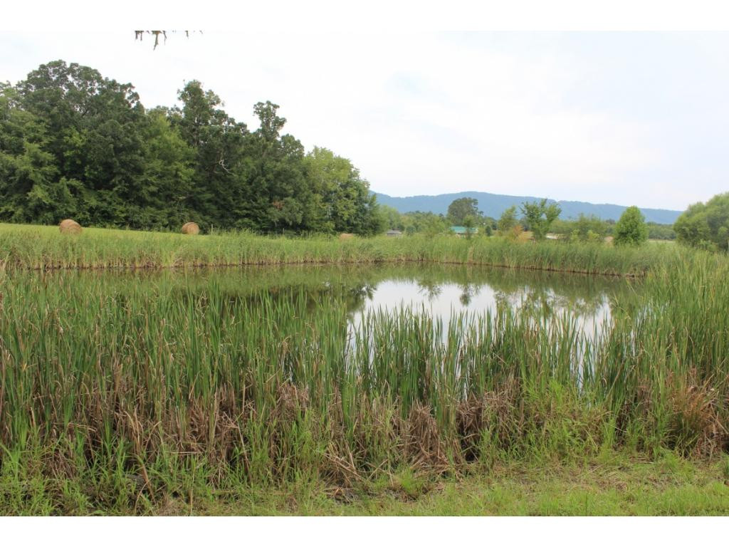 0 Kenneytown Road, Unit 1 Greeneville, TN 37745 - Photo 20 of 24 Photo 20