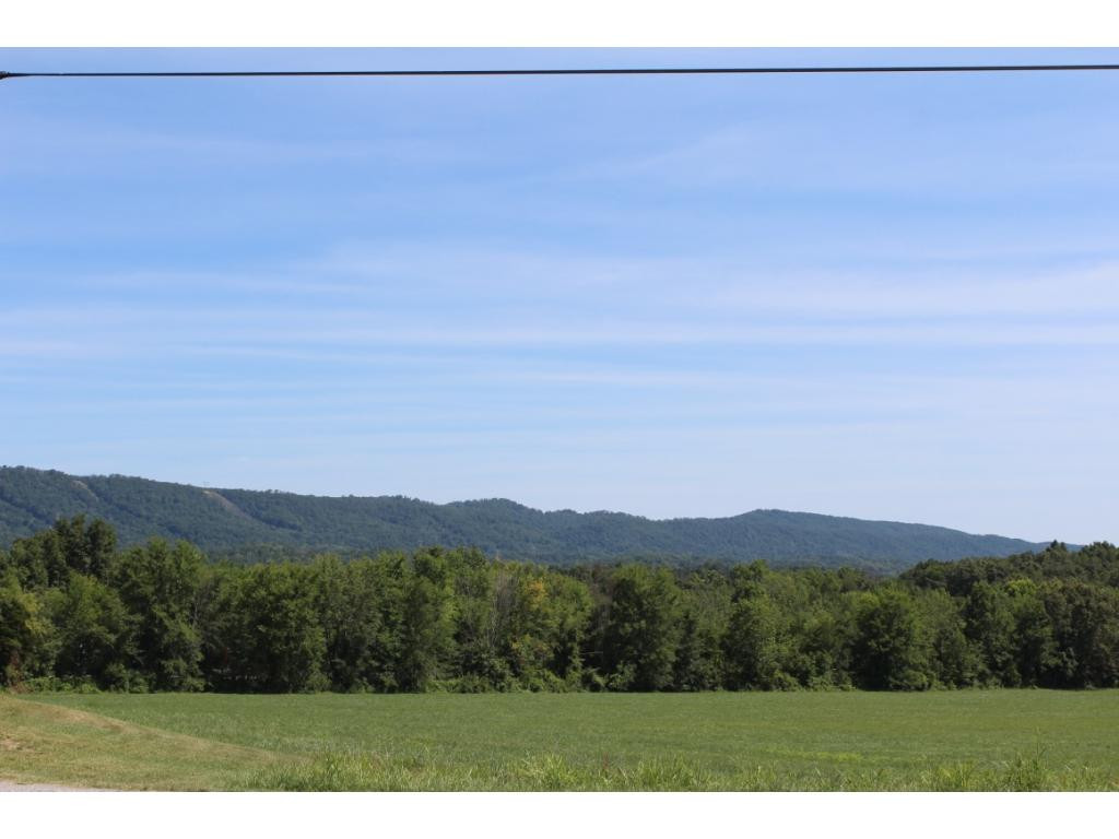 0 Kenneytown Road, Unit 1 Greeneville, TN 37745 - Photo 2 of 24 Photo 2
