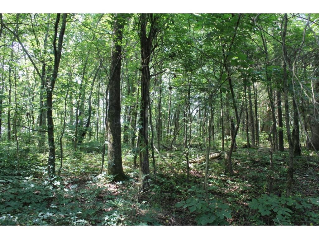 0 Kenneytown Road, Unit 1 Greeneville, TN 37745 - Photo 24 of 24 Photo 24
