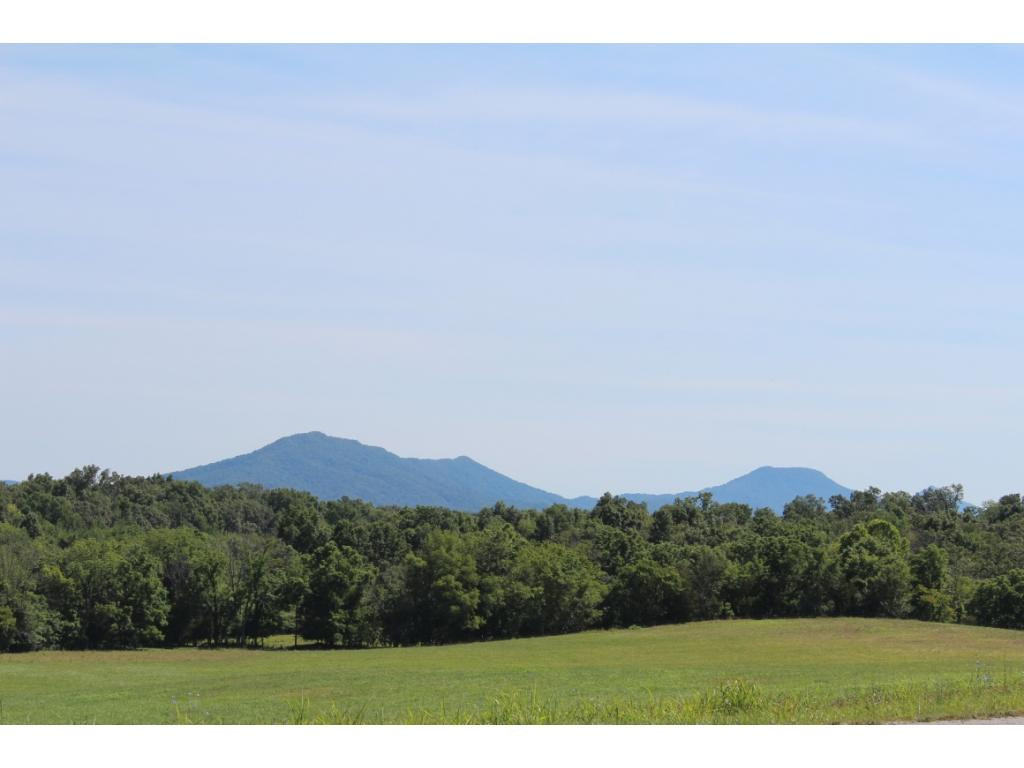 0 Kenneytown Road, Unit 1 Greeneville, TN 37745 - Photo 3 of 24 Photo 3