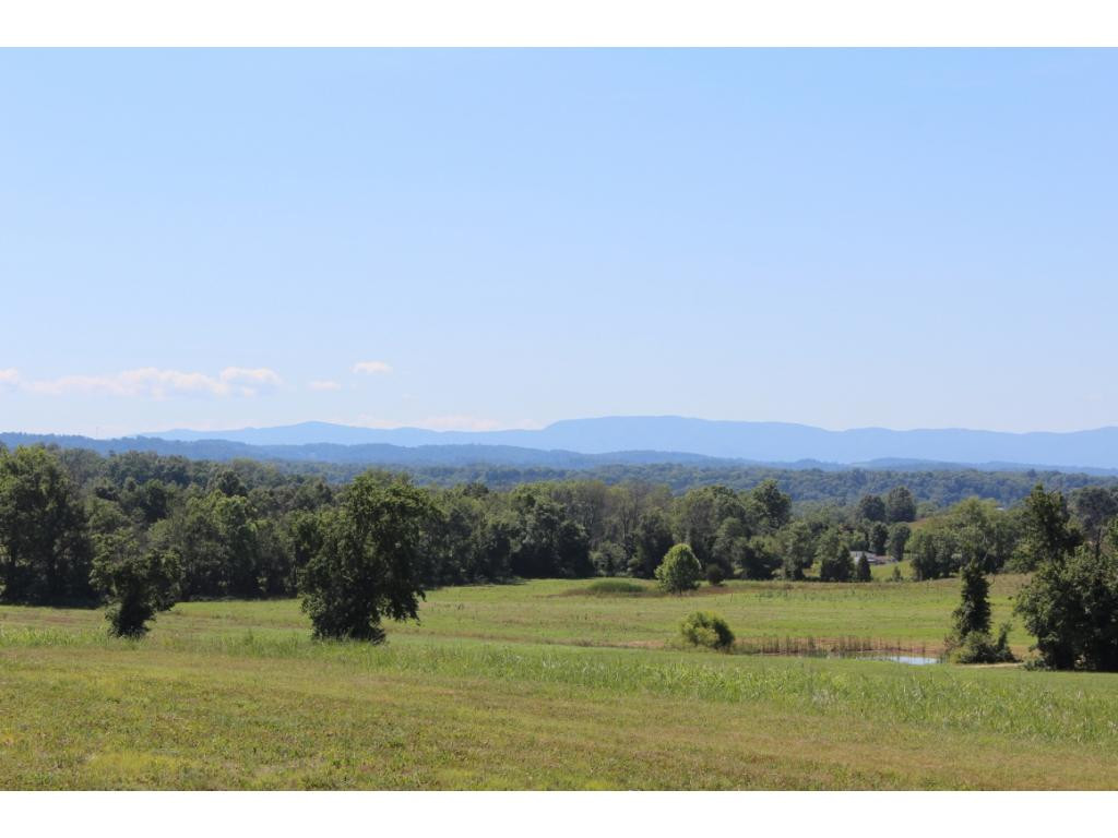 0 Kenneytown Road, Unit 1 Greeneville, TN 37745 - Photo 4 of 24 Photo 4