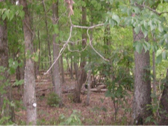 0 Hebron Church Road Mebane, NC 27302 - Photo 1 of 4 Gallery Image 1
