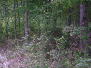 0 Hebron Church Road Mebane, NC 27302 - Photo 2 of 4 Gallery Image 2