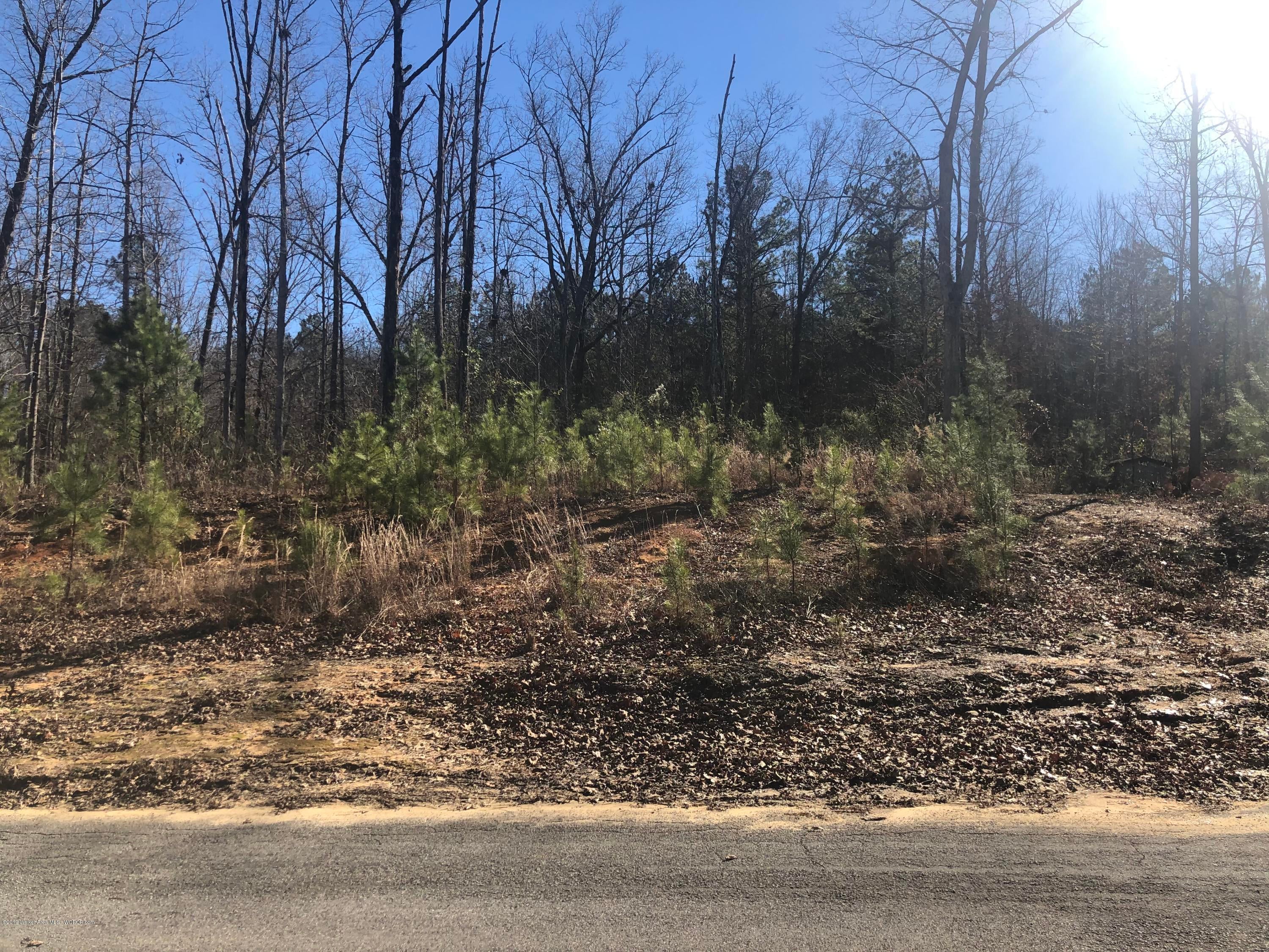 Raccoon Creek Road Jasper, AL 35504 - Photo 1 of 1 Gallery Image 1