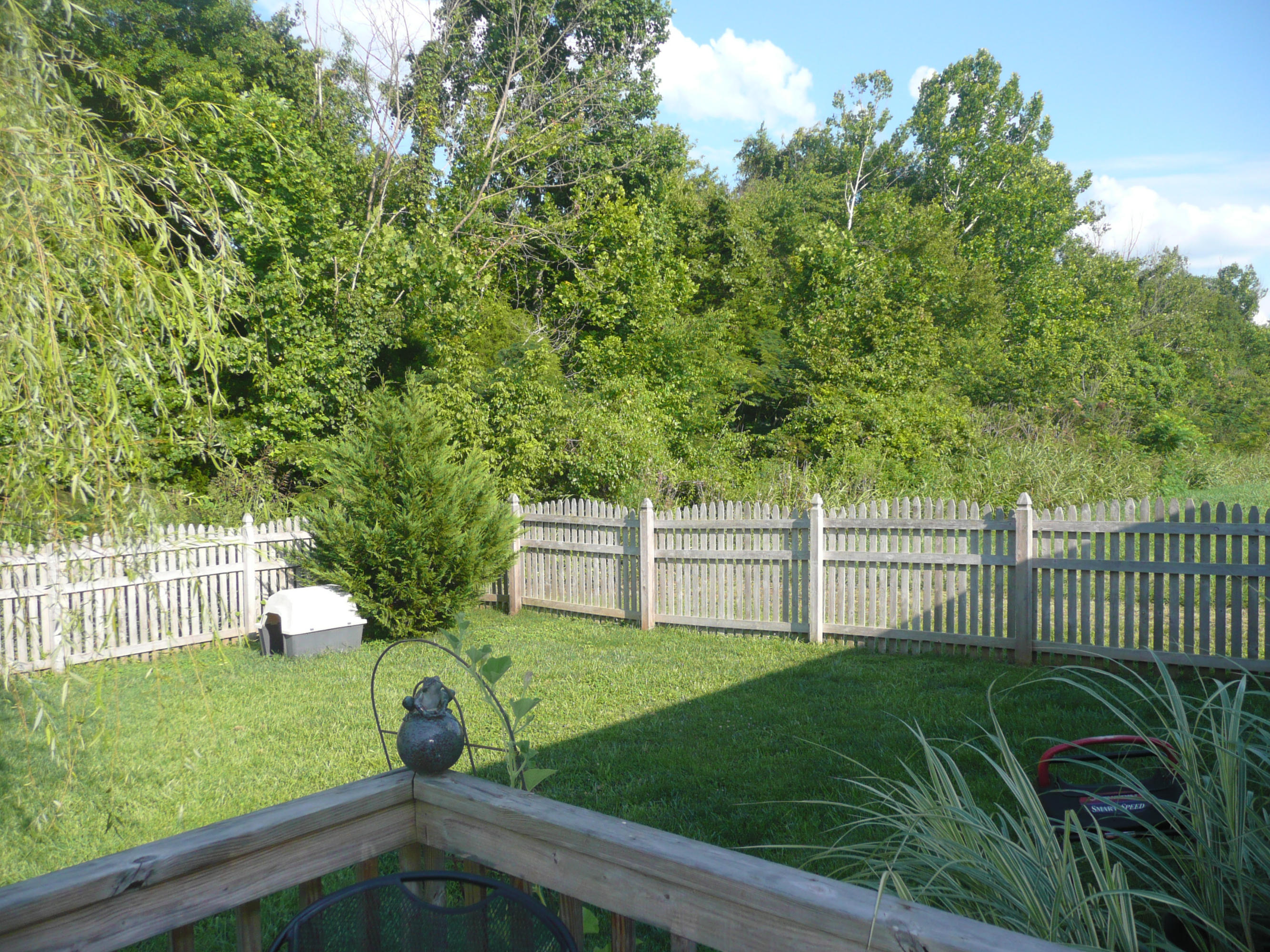 1820 River Poppy Road Mascot, TN 37806 - Photo 19 of 23 P1100367