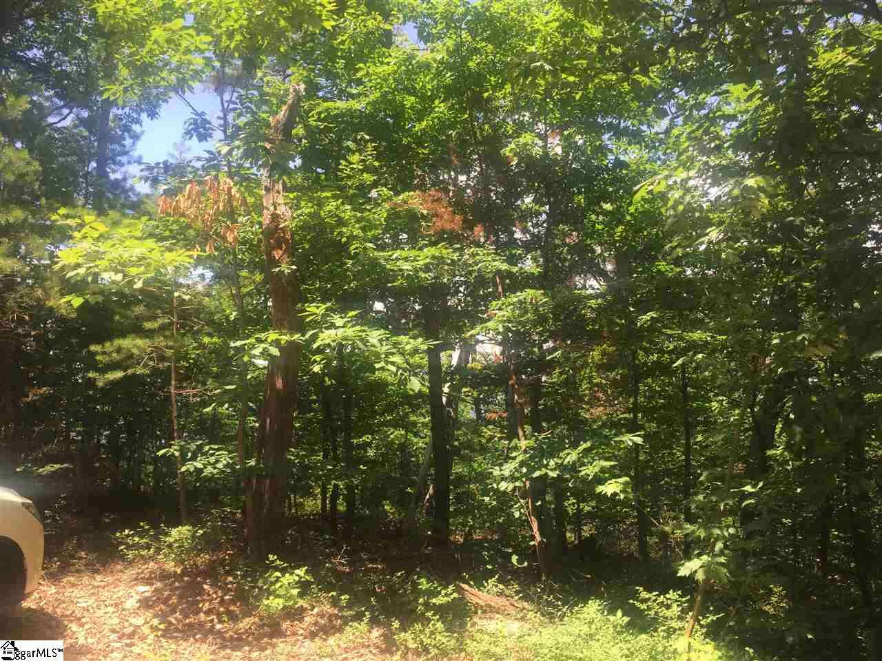 159 Old Altamont Ridge Road Greenville, SC 29609 - Photo 16 of 17