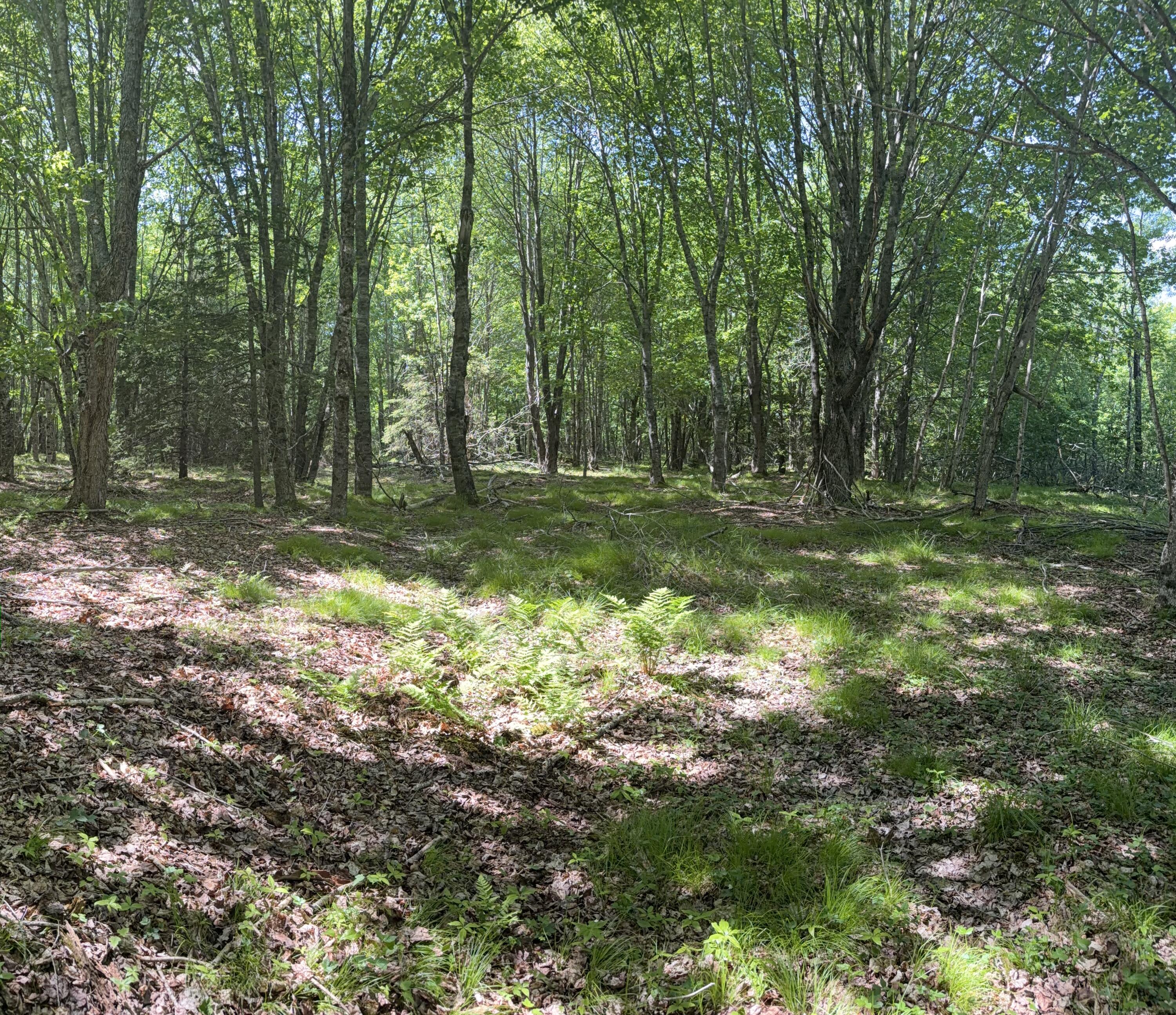 M5-l42 Hooke Road Harrington, ME 04643 - Photo 24 of 33