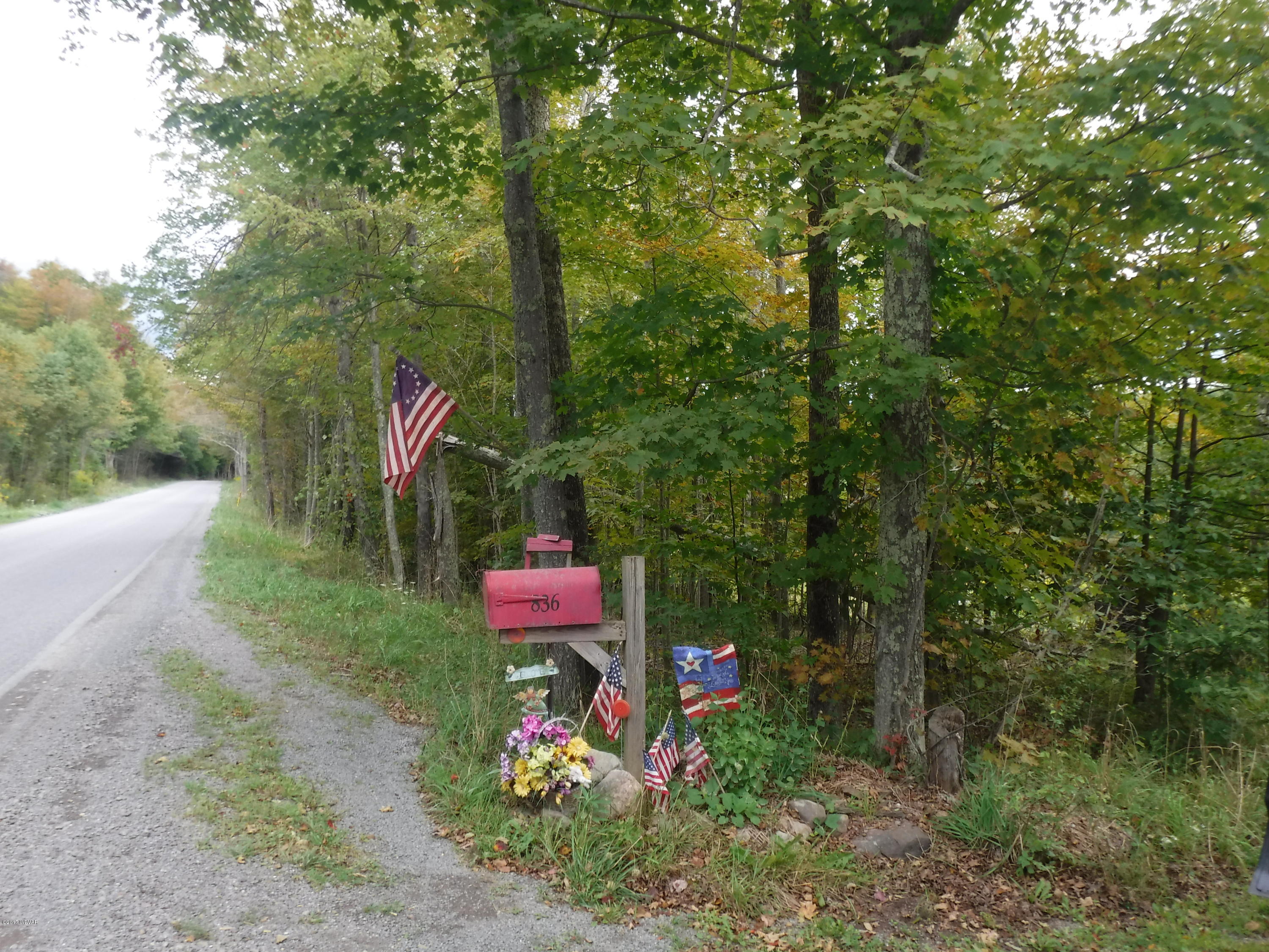 836 Route 4007 Road Forksville, PA 18616 - Photo 35 of 55 Driveway