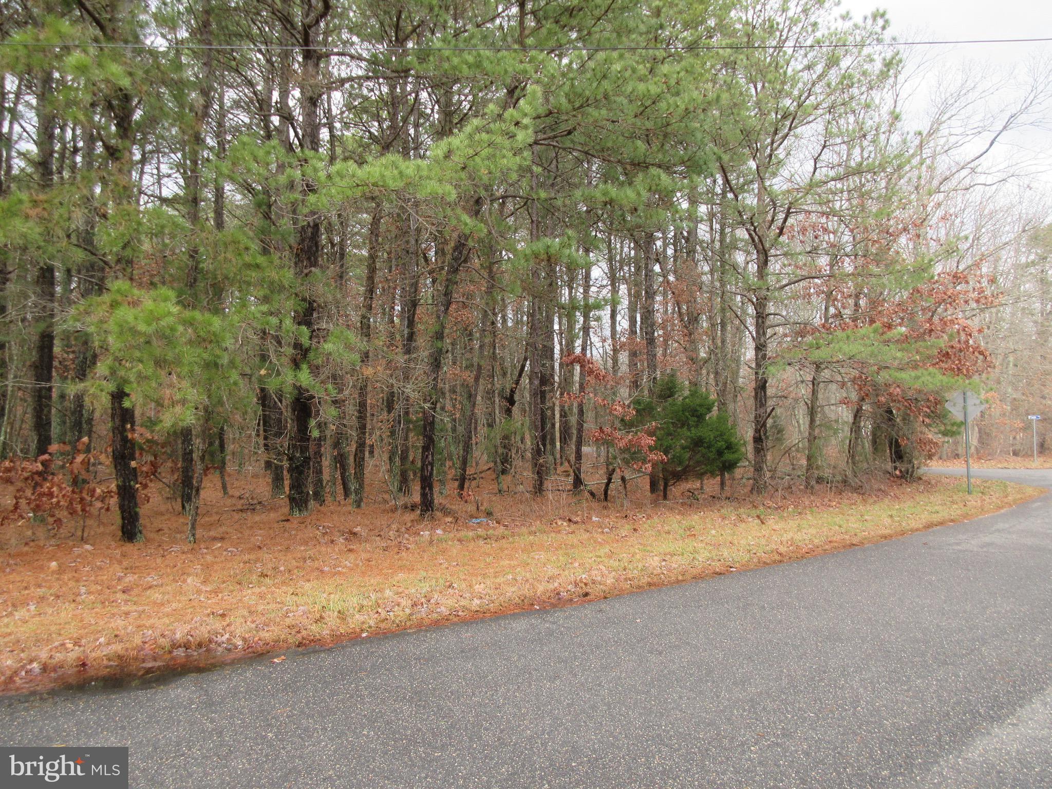 7th Avenue Atco, NJ 08004 - Photo 2 of 5