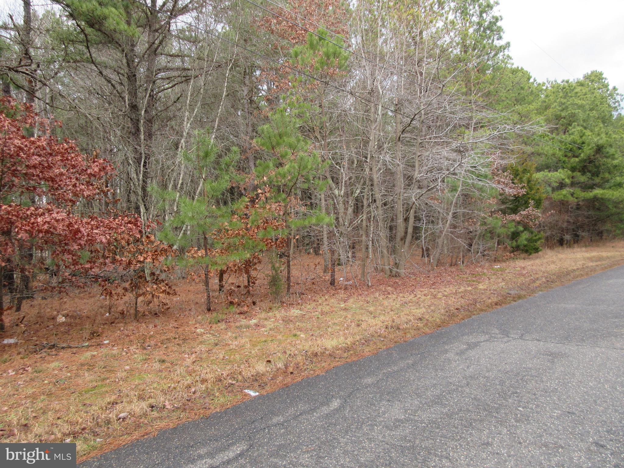 7th Avenue Atco, NJ 08004 - Photo 3 of 5