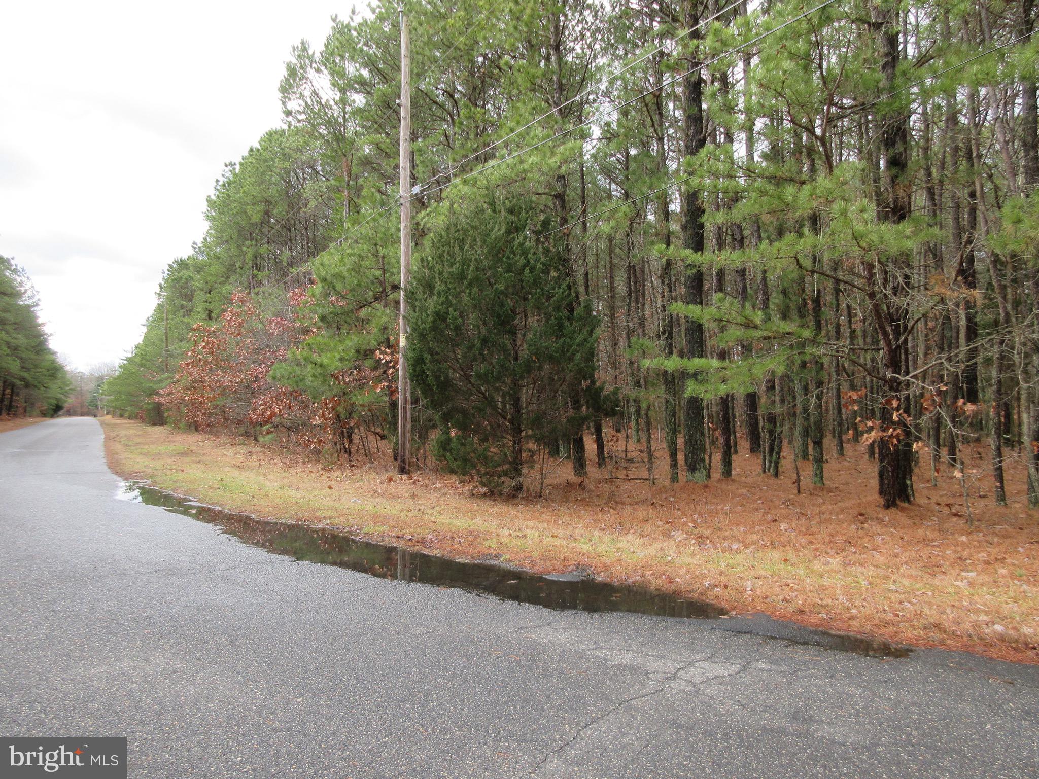 7th Avenue Atco, NJ 08004 - Photo 4 of 5