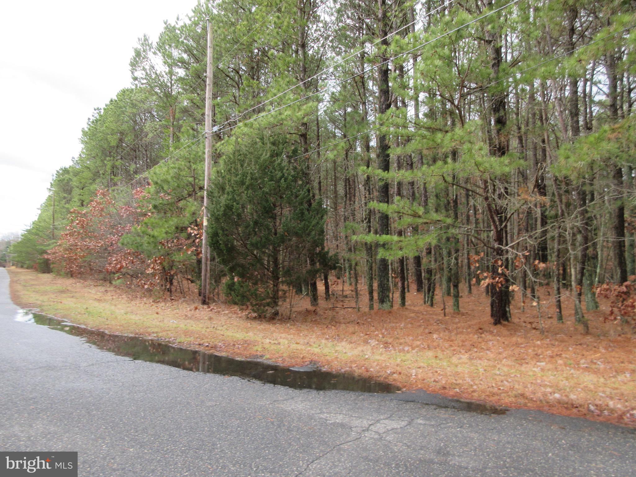 7th Avenue Atco, NJ 08004 - Photo 5 of 5