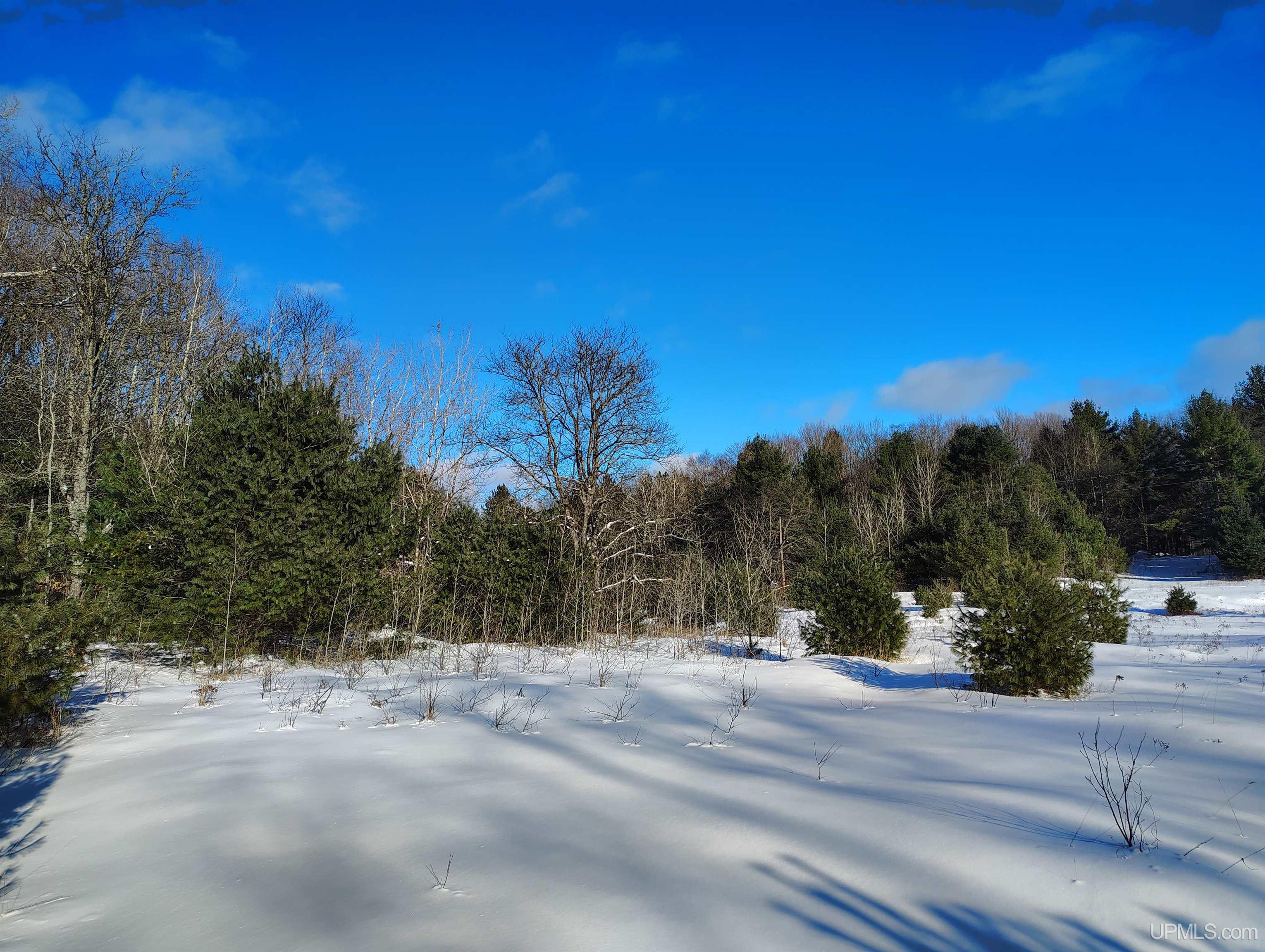Tbd Off Dana Lake Road Wetmore, MI 49895 - Photo 35 of 54 Gallery Image 35