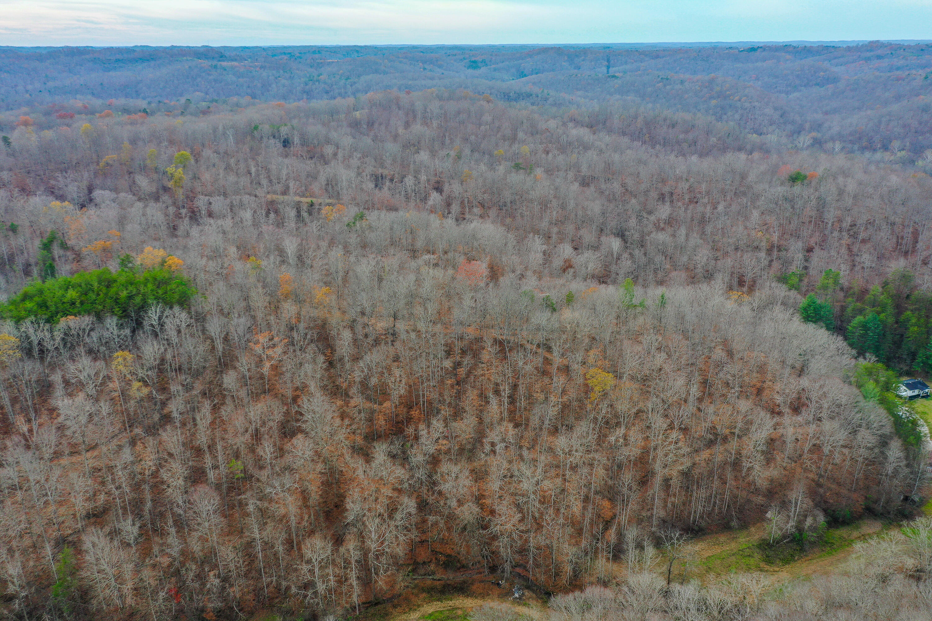 336 Big Branch Road Beattyville, KY 41311 - Photo 55 of 66 2-18