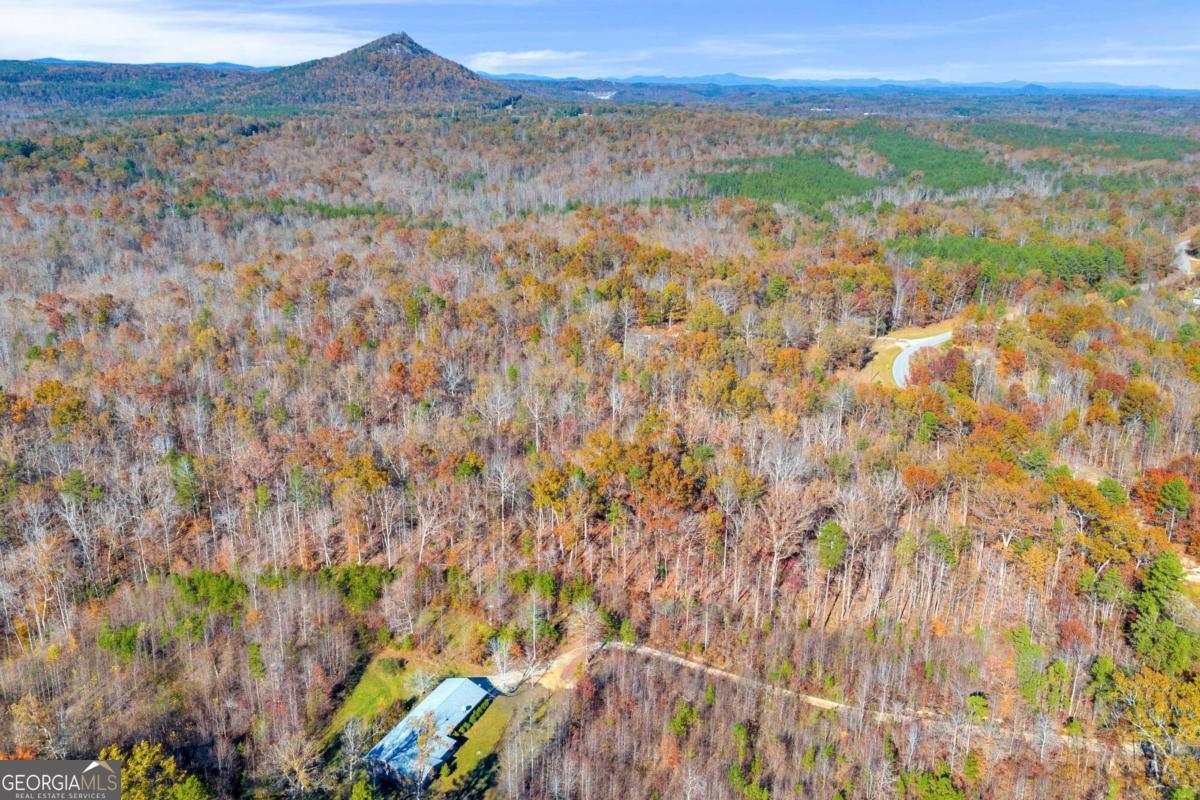 Lot 12 North Hicks Road Toccoa, GA 30577 - Photo 23 of 25