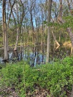 683 Marsh Road Plainwell, MI 49080 - Photo 54 of 70 Marsh & Pierce 25