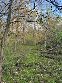 683 Marsh Road Plainwell, MI 49080 - Photo 56 of 70 Marsh & Pierce 24