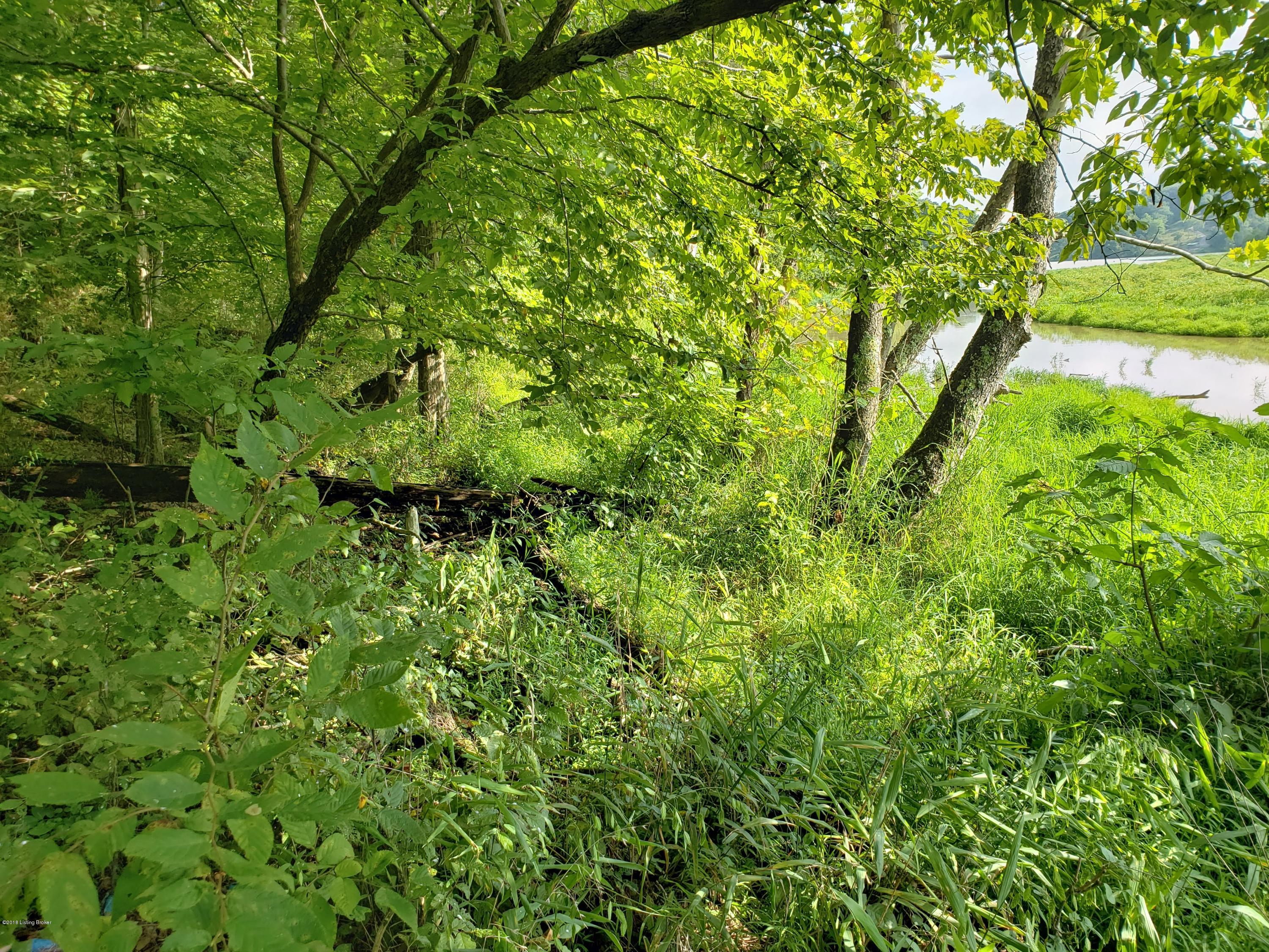Lot #25 Red Wing Road Brandenburg, KY 40108 - Photo 12 of 12 20180801_095302