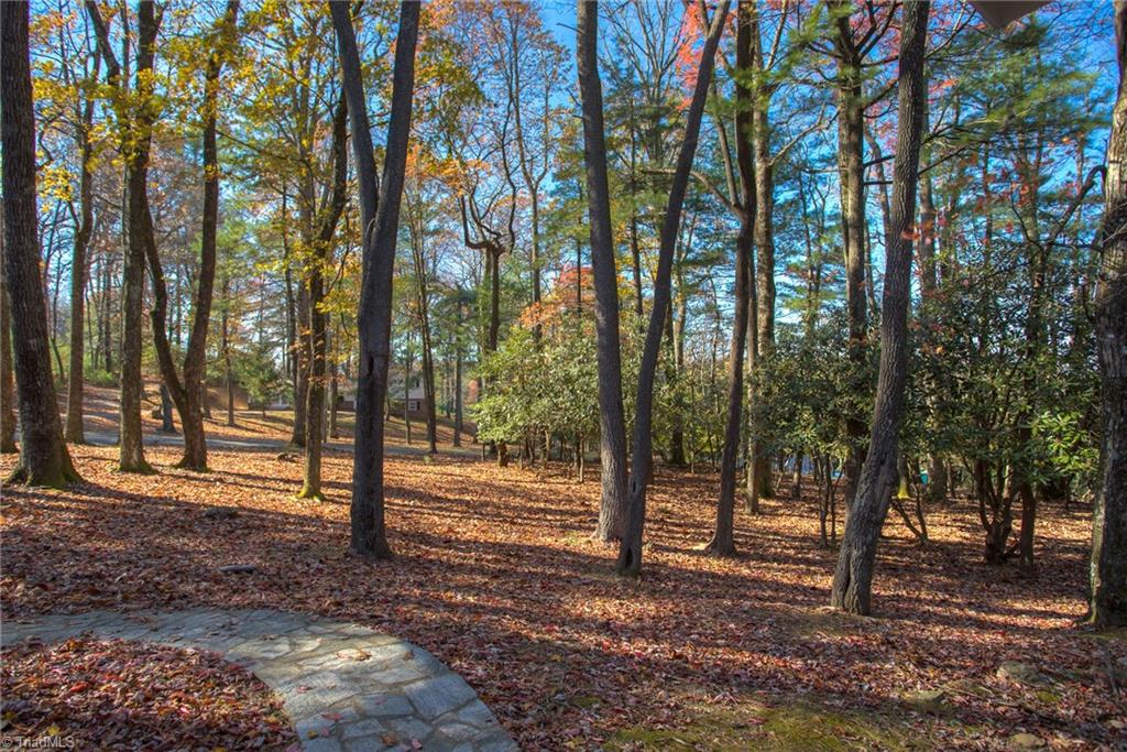 1116 Country Club Road Glade Valley, NC 28627 - Photo 5 of 26 Gallery Image 5