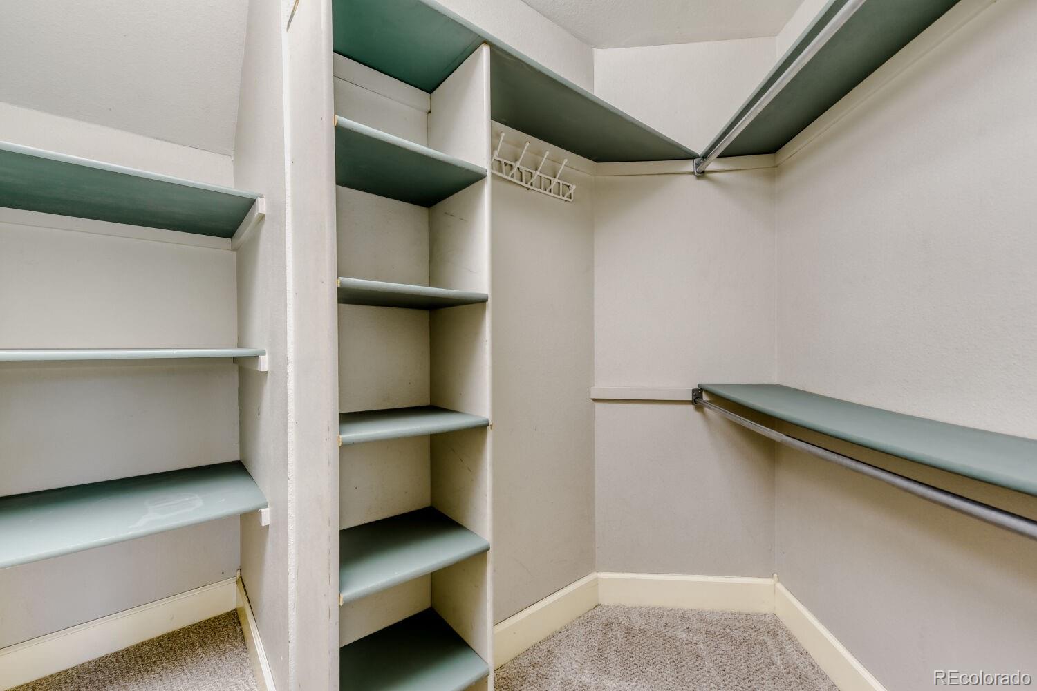 9378 Shadowglen Court Highlands Ranch, CO 80126 - Photo 22 of 30